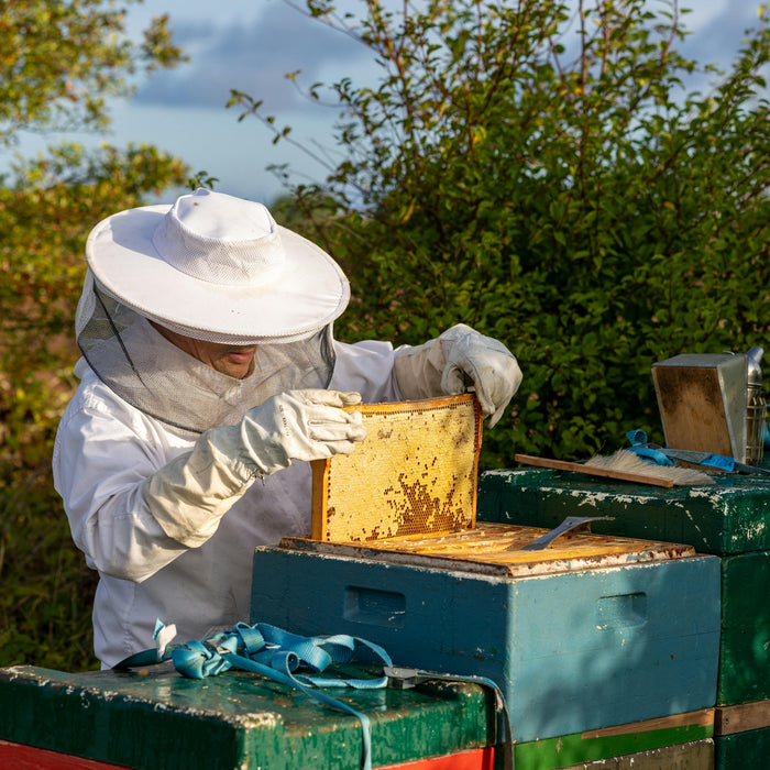 Timing is Everything: When to Add a Super to Your Beehive