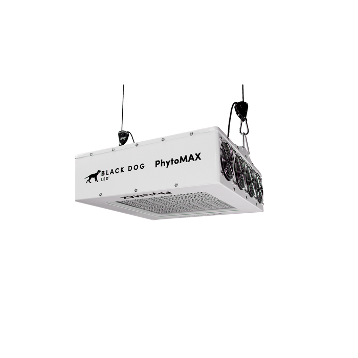 Black Dog LED PhytoMAX-4 12SC LED Grow Light