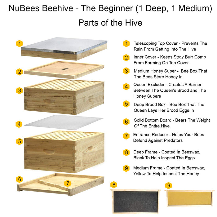 Nubee 8 Frame Beehive - (1)Deep & (1)Medium