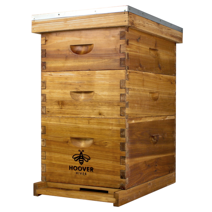 Wax-Coated 8 Frame Beehive - (1)Deep & (2)Mediums