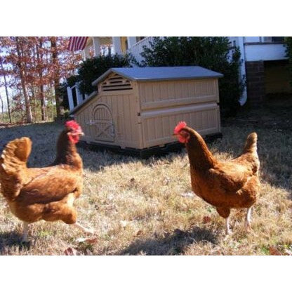 Snap Lock Standard Size Chicken Coop