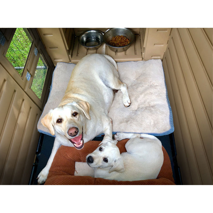 Snap Lock Dog House with Insulating Walls and Food Nook